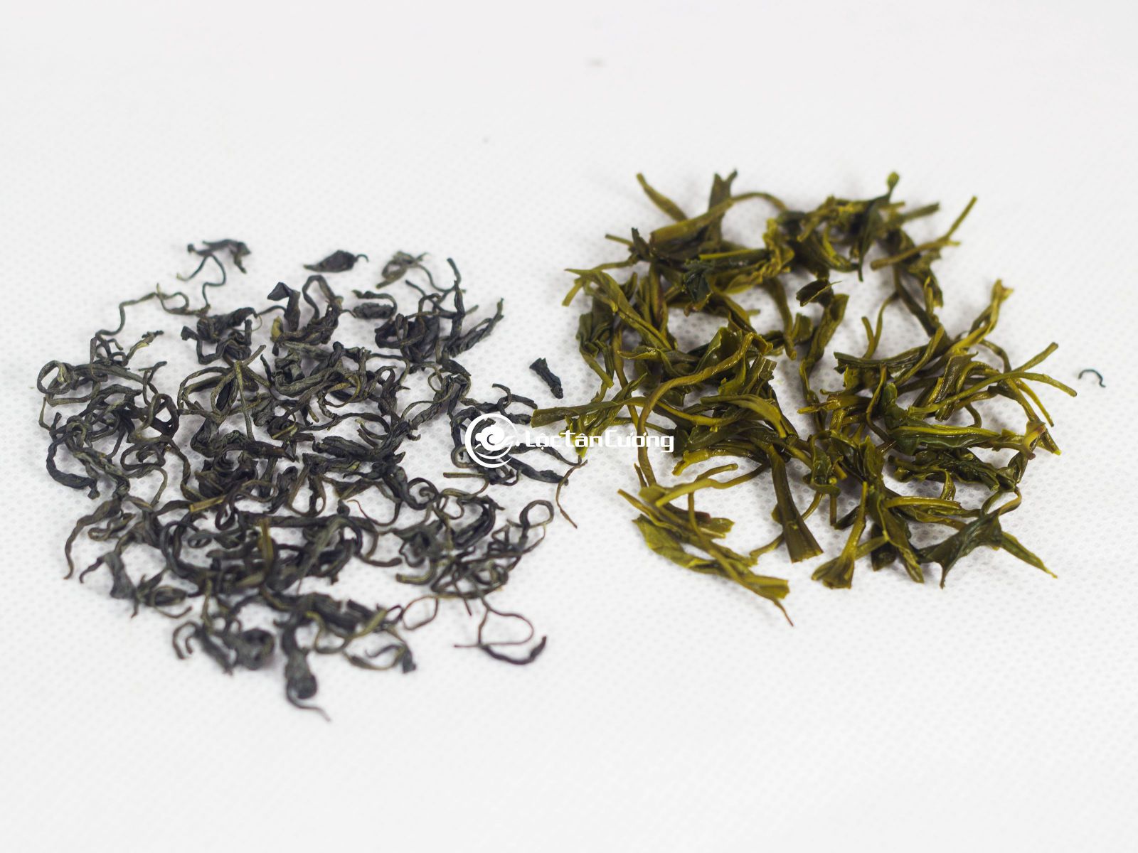 Trà Móc Câu Thái Nguyên Lộc Tân Cương Lựa Chọn Số Một Của Người Sành Trà
